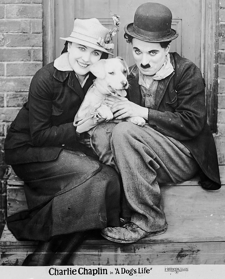 Edna Purviance, Scraps and Charlie Chaplin in A Dog's Life (1918), 1920s Pathé Pictures reissue photo