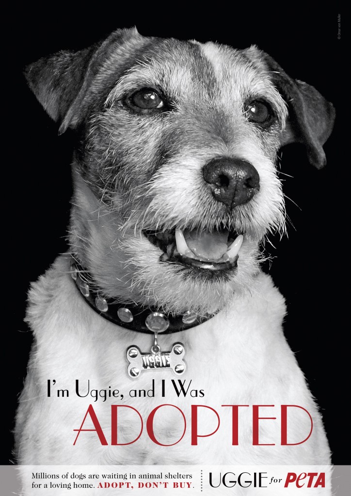 Uggie the dog, star of The Artist (2011) in PeTA animal adoption advert